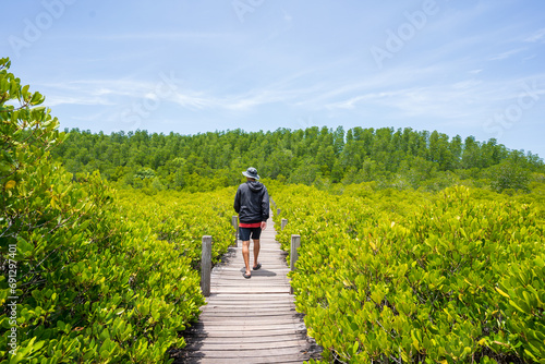 Male tourist walks on a wooden bridge amidst colorful mangrove forest nature. photo