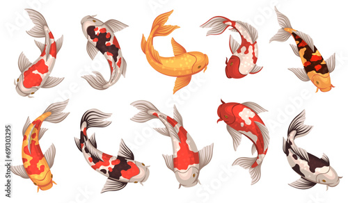 Colored koi fish. Japanese carps, spotted underwater oriental creatures, traditional inhabitants of decorative chinese ponds, asian goldfish swimming in lake, lucky symbol, tidy vector set