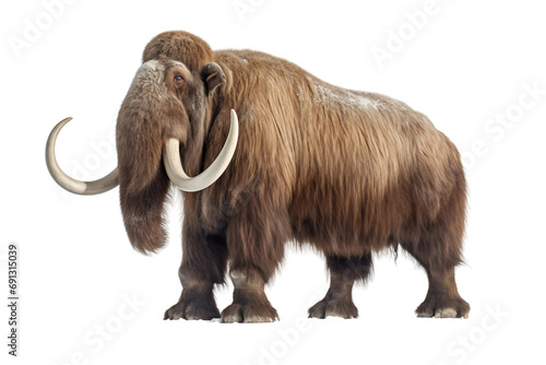 Stunning Woolly Mammoth Pose On Transparent Background photo
