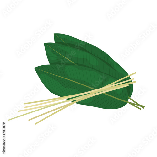 Dong leaves and bamboo strings vector illustration isolated on white background. Ingredients for making sticky rice cake  banh chung. Elements for Tet holidays  Vietnamese New Year.