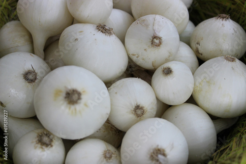 Background of many white onion tubers in a basket at grocery shop closeup view