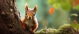 background of the lush forest, a cute red squirrel with fur as soft as velvet scurried up the tall tree, collecting nuts with funny antics, bringing laughter to the park visitors who were captivated