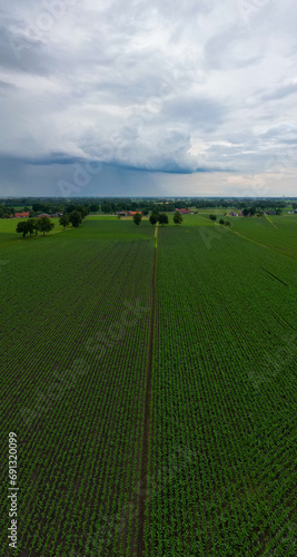 Captured from above, this image depicts the expansive view of agricultural fields, with a stark pathway cutting through the lush greenery. The overcast sky, dominated by the dramatic presence of storm