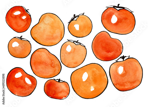 Set of persimmon fruits of different sizes and shapes. Orange watercolor persimmon. Black outline. Some fruits have leaves and shoots with black outline, white highlights. Isolated on white background photo