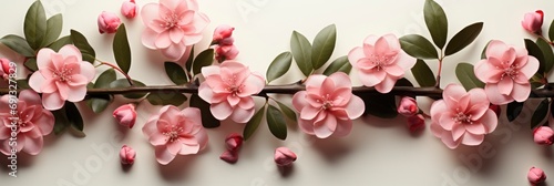 Camellia Flower Top View  Banner Image For Website  Background  Desktop Wallpaper