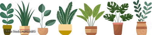indoor plants in flat style, on white background, vector