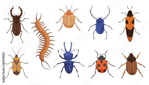 Insect vector icons flat set. Spring and summer insects. Bug species and exotic beetles icons collection © the8monkey