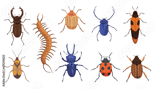 Insect vector icons flat set. Spring and summer insects. Bug species and exotic beetles icons collection