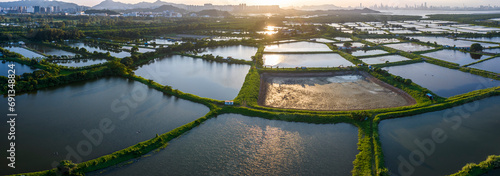 Tai Sang Wai Drought Fish Ponds. photo