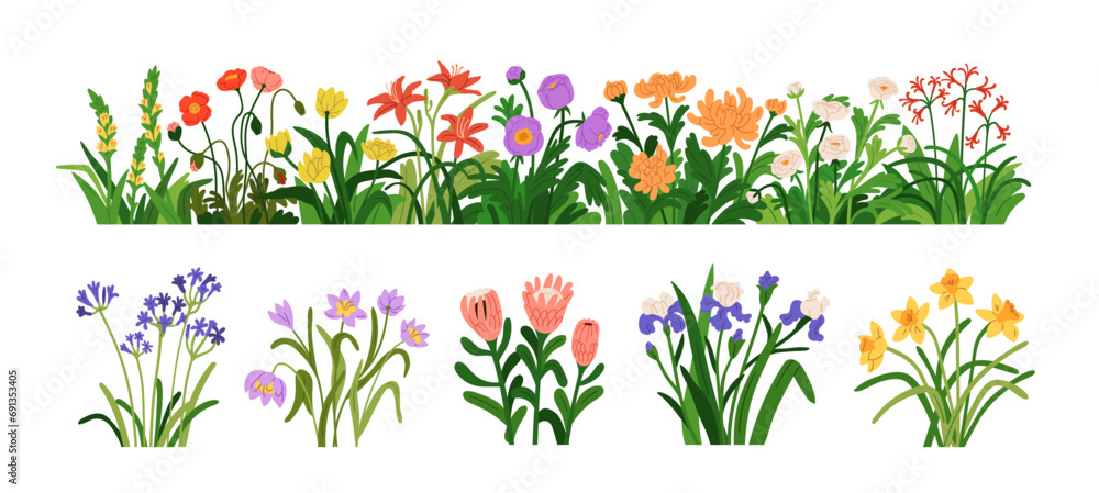Blossomed garden flowers, floral border. Blooming plants set. Botanical decoration, spring and summer wildflowers, iris, daffodil, protea. Flat vector illustrations isolated on white background - obrazy, fototapety, plakaty 