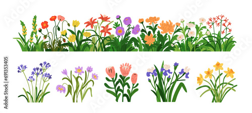 Blossomed garden flowers, floral border. Blooming plants set. Botanical decoration, spring and summer wildflowers, iris, daffodil, protea. Flat vector illustrations isolated on white background