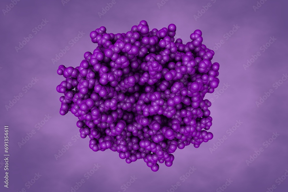 Obraz premium Human S-adenosyl methionine synthetase 1 in complex with SAM and PPNP. Space-filling molecular model on purple background. Rendering based on protein data bank entry 8swa. 3d illustration