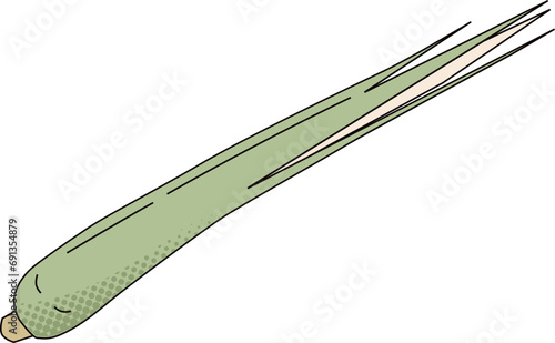 Spice Illustration