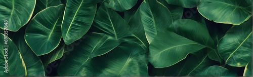 abstract background with tropical green leaves