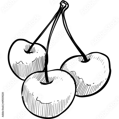 cherry handdrawn illustration