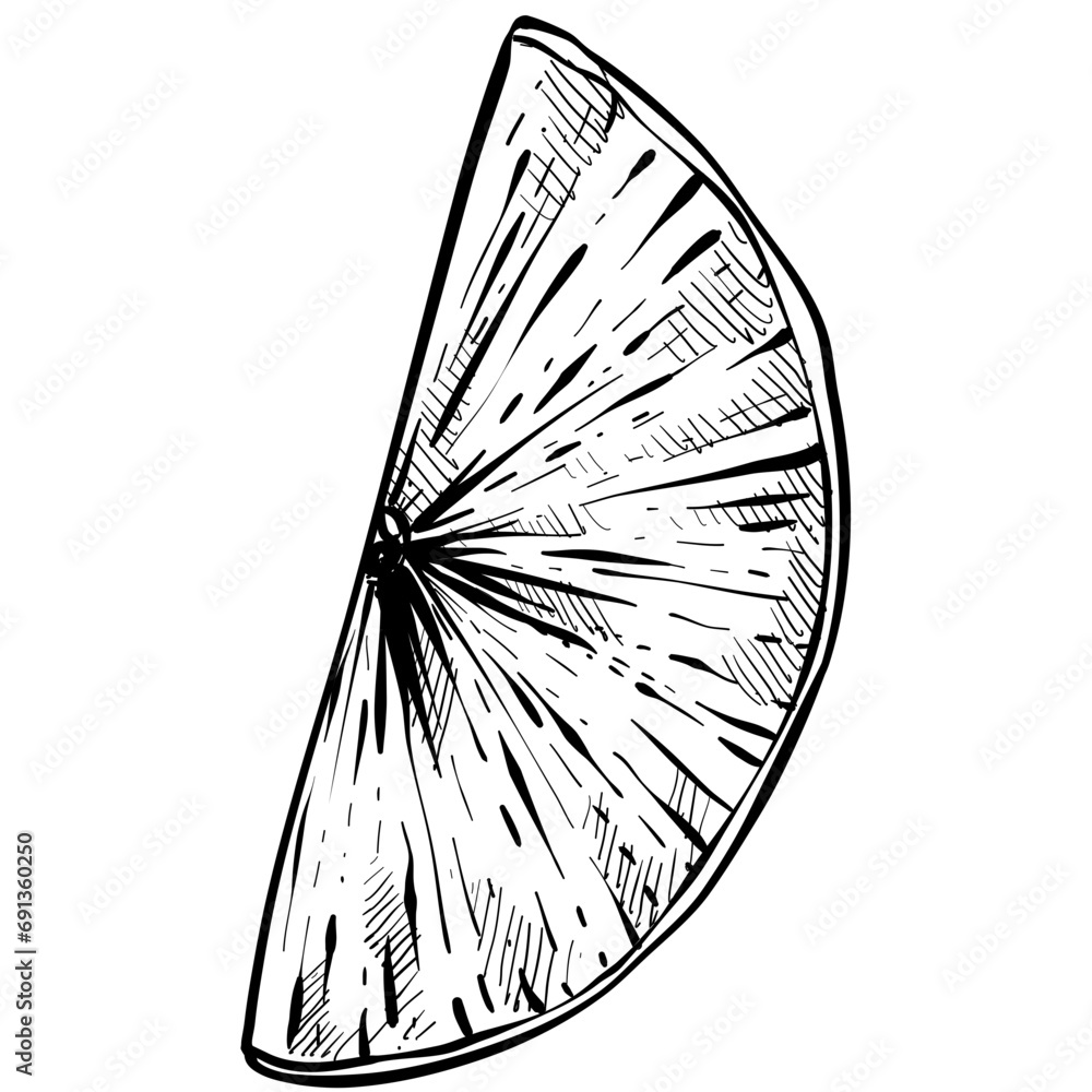 Obraz premium lime handdrawn illustration