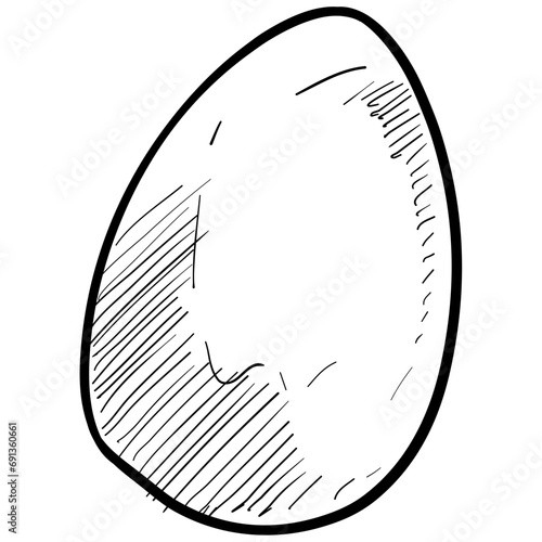 chicken eggs handdrawn illustration