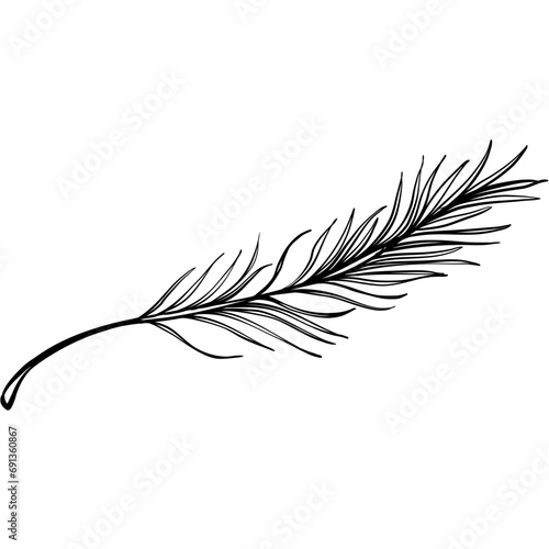 sauna feather handdrawn illustration