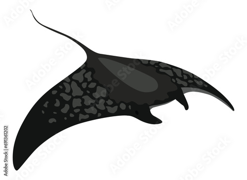 Stingray fish. Sea animal floating underwater. Cute cartoon stingray. Adorable sea creature isolated on white background. Wildlife, nature concept. Vector illustration of manta ray