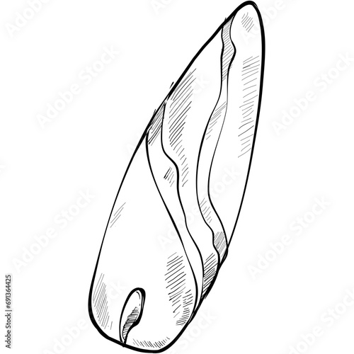 surfboard handdrawn illustration