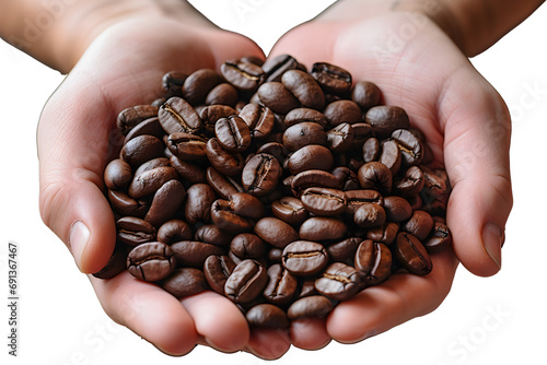  Coffee beans in a hand over isolated transparent background