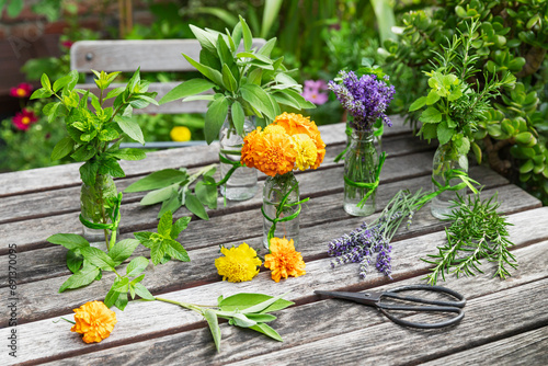 Herbs and edible flowers cultivated in balcony garden photo