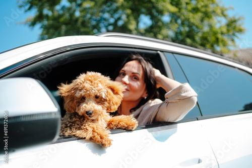 Smiling woman leaning out of window with poodle dog in car photo