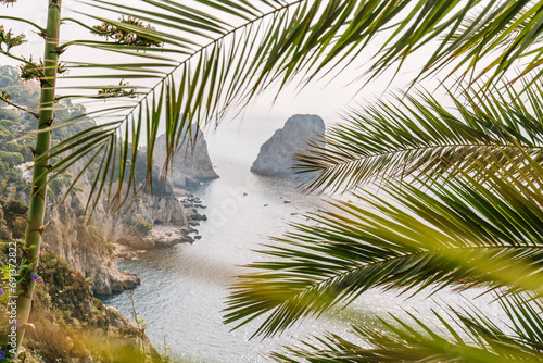 Italy, Campania, Coastal sea stacks with palm tree branches in foreground photo