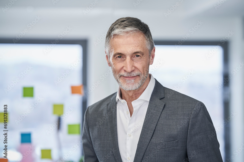 Smiling senior businessman in office Smiling senior businessman in office