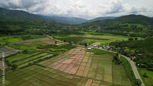 Rice Field at Mae Ai District, Chiang Mai, Thailand 