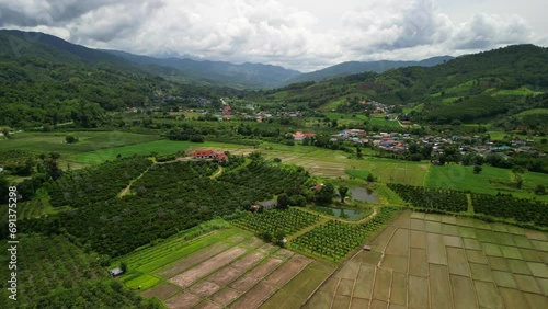 Rice Field at Mae Ai District, Chiang Mai, Thailand 