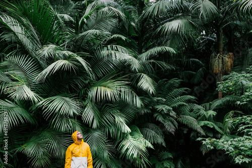 Young man standing near palm trees in rainforest