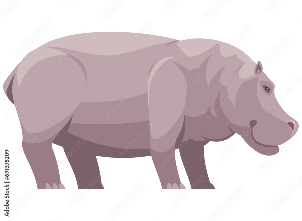 illustration of a hippopotamus in the zoo