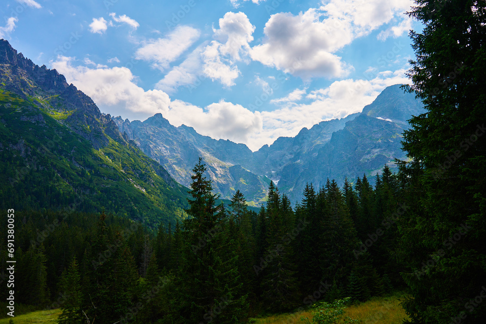 Amazing view on mountains range near forest trees at summer day. Tatra National Park in Poland