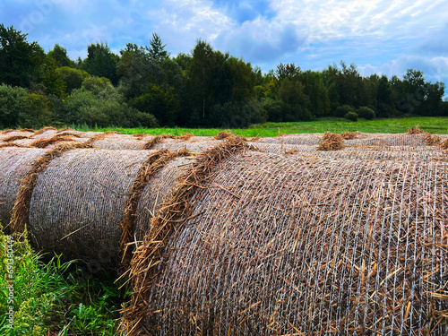 Close-up of haystacks in the field, made by farmers for winter preparations, are rolled and baled as fodder and feed for the animals in the rural scene. photo