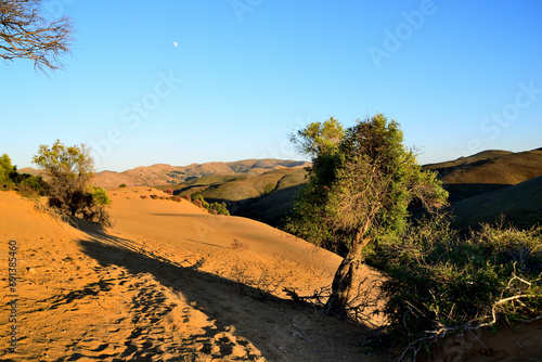 sand dunes - Ammothines, Gomati area, Lemnos island, Greece, Aegean Sea photo