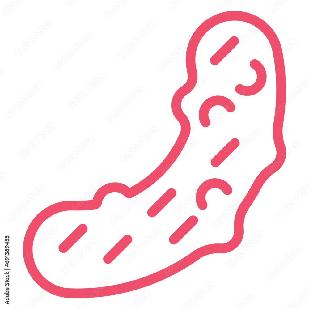 Obraz premium Pickle Icon Style