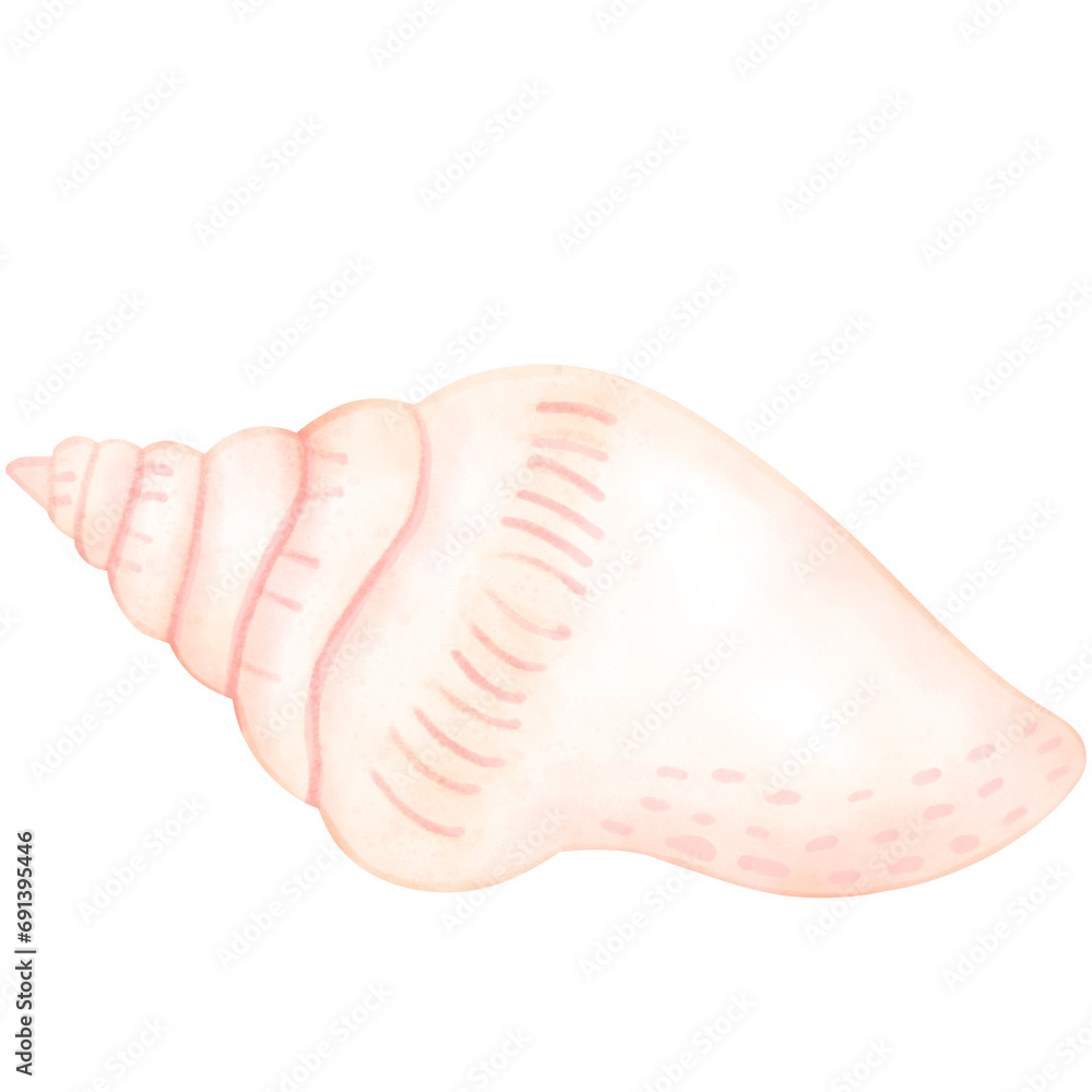 Sea shell, shell, under the sea Sea shell, shell, under the sea