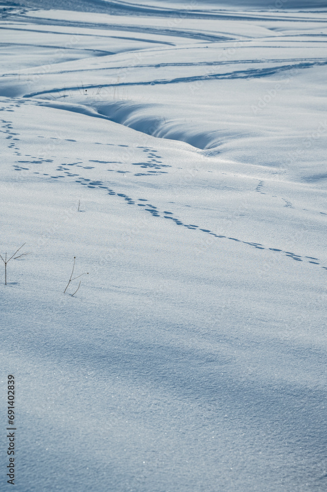 The largest high altitude plateau in Europe in winter. Snow and winter atmosphere on the Alpe di Siusi. Dolomites. The largest high altitude plateau in Europe in winter. Snow and winter atmosphere on the Alpe di Siusi. Dolomites.