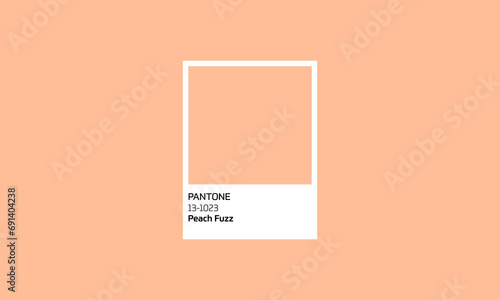 Peach Fuzz Color of the year 2024. Color graphic illustration