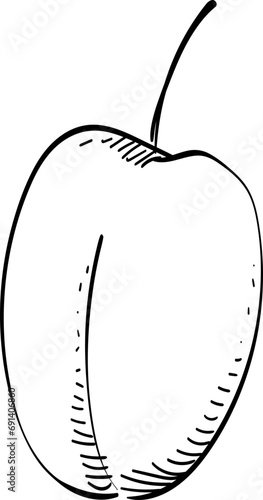 peach handdrawn illustration
