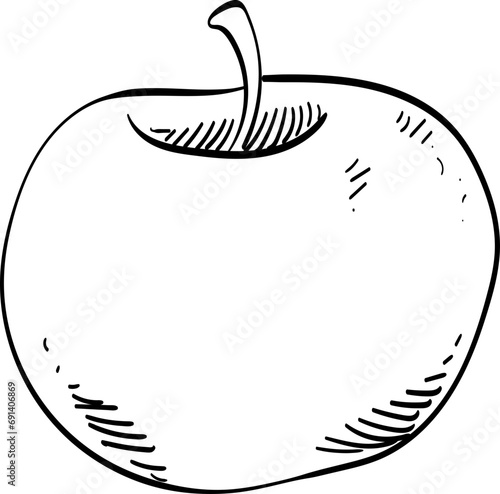 apple handdrawn illustration