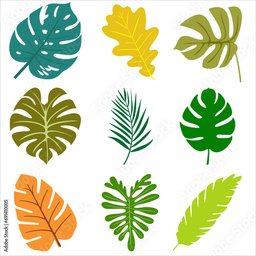 Collection of autumn leaves. Vector illustration.