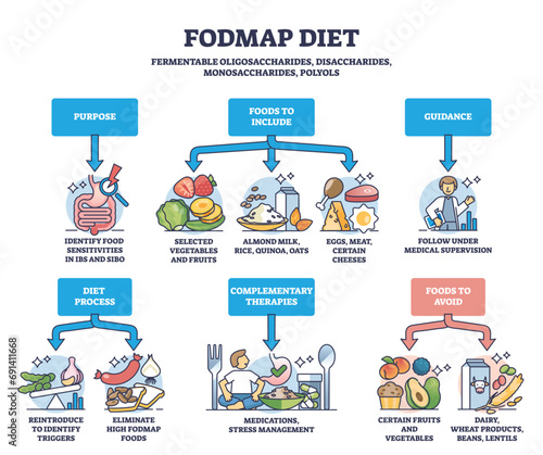 Fodmap diet as recommendations for irritable bowel syndrome outline diagram. Labeled educational eating habits suggestion and guidance for patient with digestive medical problems vector illustration. photo