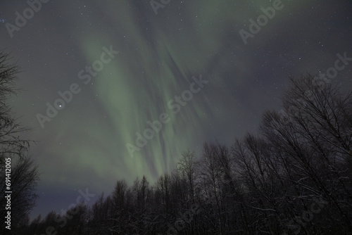 Scenic view of the northern lights over a snowy forest in Ivalo, Lapland, Finland at night photo