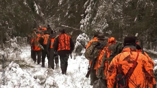 hunters are walking in a group through the winter forest. hunting in a corral