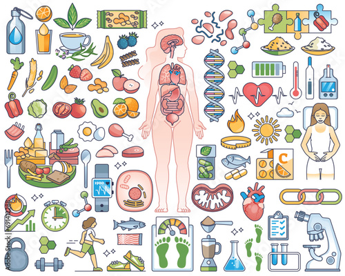 Metabolism, digestive system, healthy eating or slimming outline collection set. Nutrition, body mass index for weight control and food products for overweight vector illustration. Balanced food.