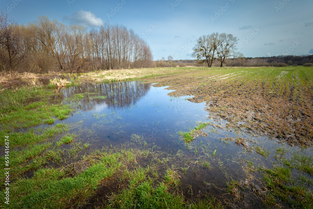 View of a country field after rain and trees on the horizon, April day in eastern Poland
