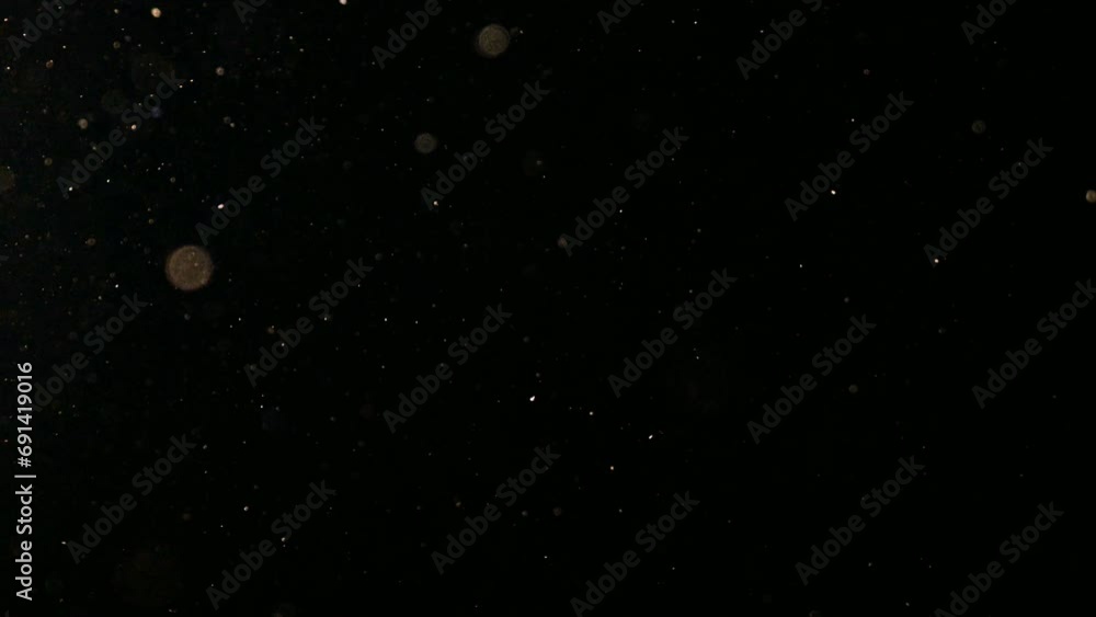 Abstract Golden dust particle lights. Cinematic video element. Adding beauty in simple ways.