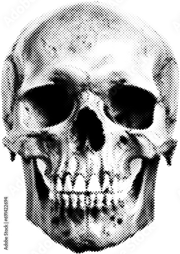 Halftone Human Skull Illustration